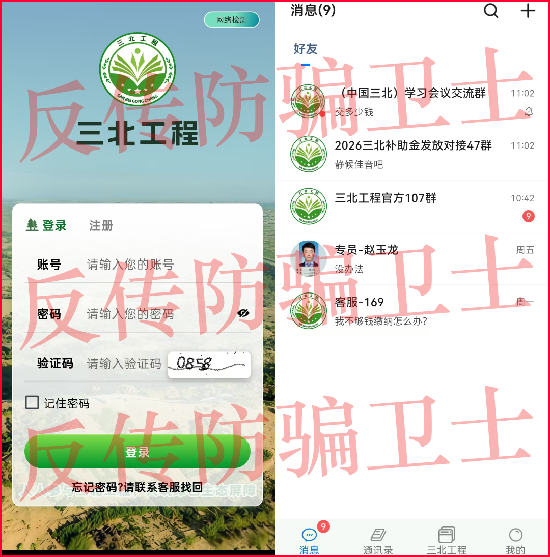 原文相关图片5