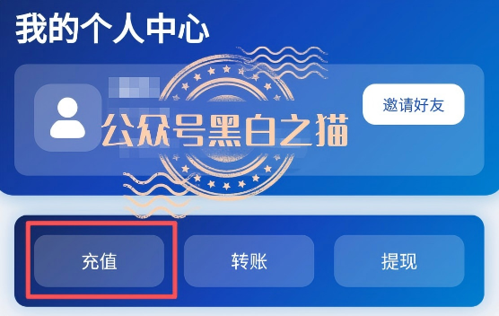 原文相关图片5